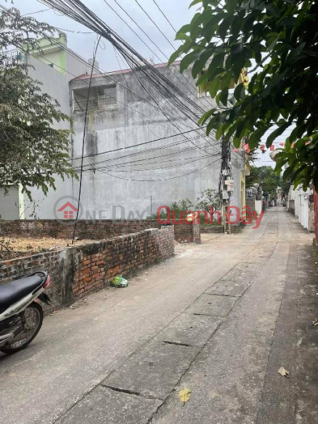 Land for sale in Tho Bao village, Van Noi, 54m x 4m, avoiding the main road, clear alley, price only 3.x billion TL. Contact: 0936123469 | Vietnam Sales, đ 3.5 Billion