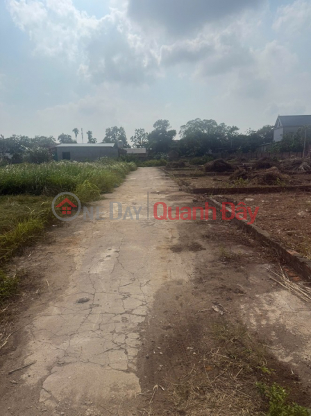 Owner needs to sell 303m2 of beautiful land in Lap Tri, Kim Anh - Potential location - Area with strong development potential. Vietnam Sales đ 5.3 Billion