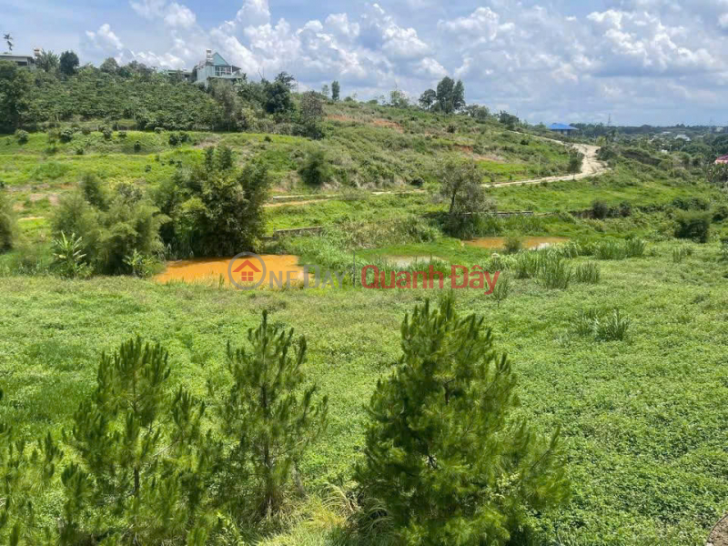 3880m2 land for sale in Ninh Gia, Duc Trong, Lam Dong, 3.9 billion VND., Vietnam Sales | đ 3.9 Billion