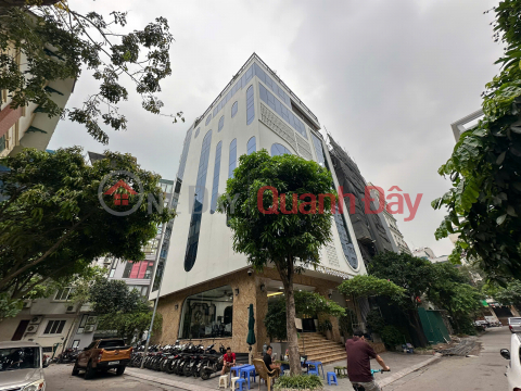 (Tin thật 100%) Bán tòa nhà VP 3 mặt tiền ô tô tránh 186m2 x 8T tại phố Trần Thái Tông - Cầu Giấy _0
