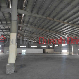 CHO THUÊ NHÀ XƯỞNG 2.700m² – KCN ĐẠI ĐỒNG HOÀN SƠN, TIÊN DU, BẮC NINH
Diện tích: 2.700m², _0