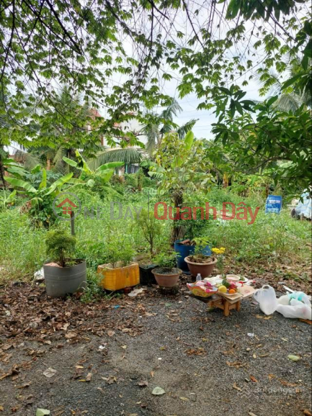 đ 29,72 tỷ, Cần bán 3 lô đất liền kề (thửa 191, 192 và 96 tờ bản đồ 54) Phước Tân,Biên Hòa, Đồng Nai.