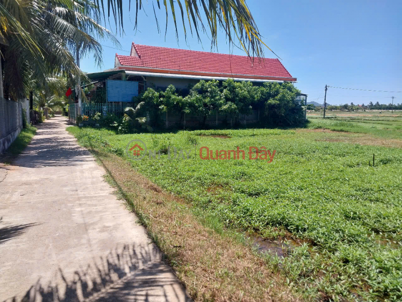, Please Select Residential, Sales Listings, đ 553 Million
