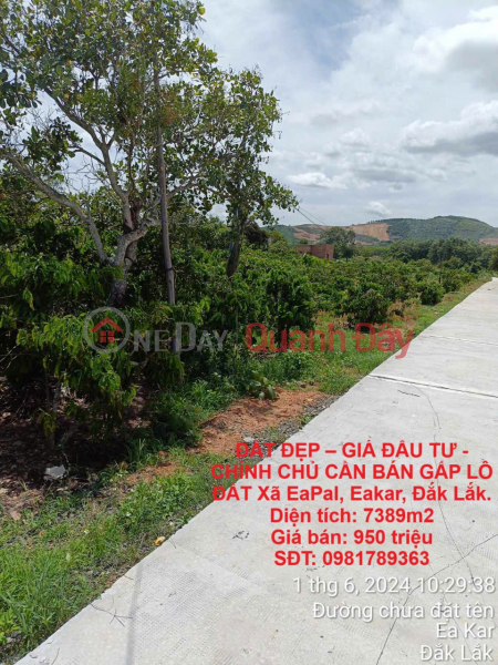 BEAUTIFUL LAND - INVESTMENT PRICE - OWNER URGENTLY NEEDS TO SELL LAND LOT EaPal Commune, Eakar, Dak Lak. Sales Listings