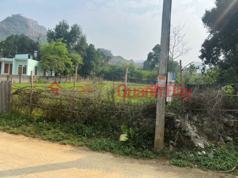 OWNER SELLS LOT OF LAND 2460M2 IN LUONG SON-HOA BINH _0