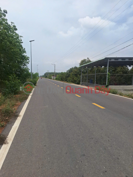 OWNER URGENTLY SELLING LARGE PLOT OF PAVED LAND INCLUDING TAXES AND FEES IN LONG CHU CENTER - BEN CAU - TAY NINH, Vietnam | Sales, đ 850 Million