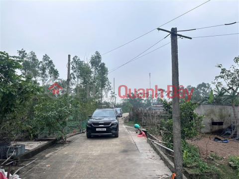 Bán đất Tú Loan 3, Quảng Hưng, Quảng Trạch, Quảng Bình. _0