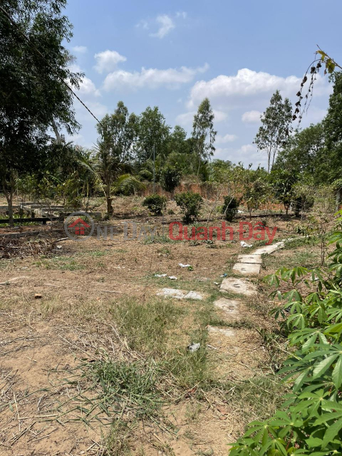 Beautiful Land - Good Price - Owner Needs to Sell Land Lot in Nice Location at Hoa Thanh Hamlet, Dinh Hoa Commune _0