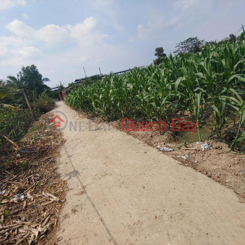 OWNER FOR SALE Lot of Land with Beautiful Location at Binh Long Hamlet, Thanh Binh Commune, Cho Gao, Tien Giang _0