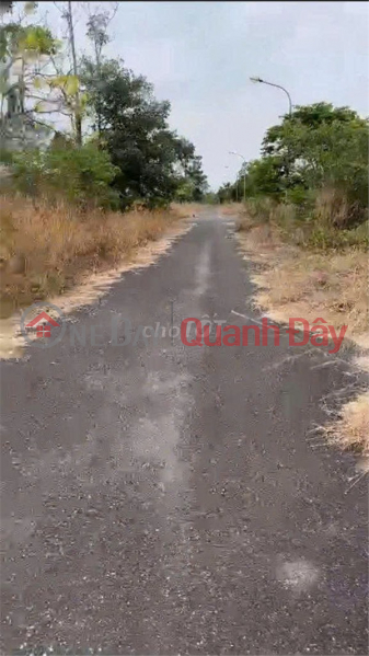 Property Search Vietnam | OneDay | Residential, Sales Listings | HOT INVESTMENT OPPORTUNITY - OWNER NEEDS TO SELL PRIME LOCATION LAND IN PHUOC AN COMMUNE, NHON TRACH DISTRICT, DONG NAI PROVINCE