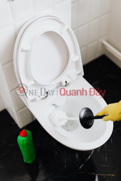 DỊCH VỌNG HẬU: Bán nhà 30.4mx 5 tầng, 3P. Ngủ, ngõ Rộng. Giá 2,95 tỷ Việt Nam | Bán, đ 2,95 tỷ