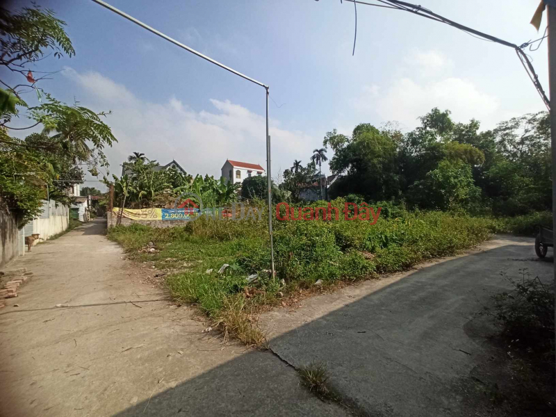 Property Search Vietnam | OneDay | Nhà ở Niêm yết bán | Bán 213m Full Thổ Cư Lô Góc Phú Nghĩa Ô Tô Vào Đất Giá 4 Tỷ