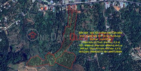 PRIME LAND FOR SALE - OWNER NEEDS TO SELL 2 PLOTS IN A STRATEGIC LOCATION IN PHUOC LOC COMMUNE, DA HOAI DISTRICT, LAM DONG PROVINCE _0
