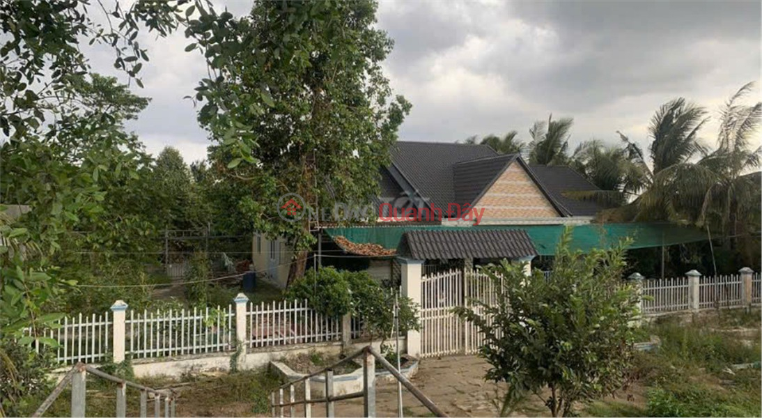 CHÍNH CHỦ CẦN BÁN NHÀ VƯỜN 3000m2 CẦU ÔNG MỖNG, THUẬN HƯNG, THỐT NỐT, Cần Thơ Niêm yết bán