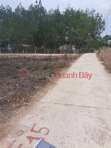 đ 1.05 Billion, Land for Sale by Owner - Frontage on Lai Uyên 19 Road, Lai Uyên Town, Bàu Bàng Commune, Ho Chi Minh City