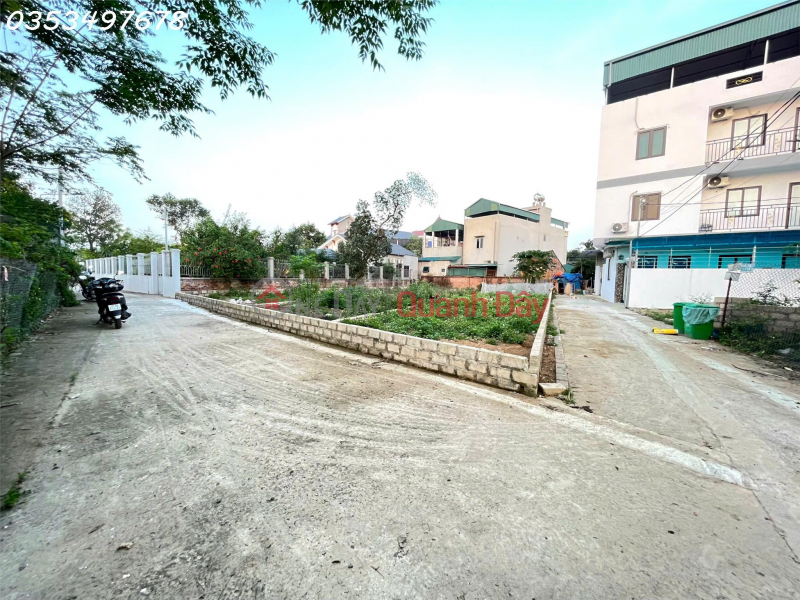 Residential land for sale, area 156.3m2 in Tan Xa, investment price Sales Listings