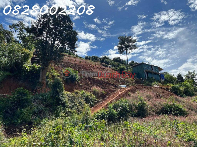 Owner quickly sells 5518m2 of land in Xuan Truong, Da Lat, price 4.5 billion, Vietnam, Sales, đ 4.5 Billion
