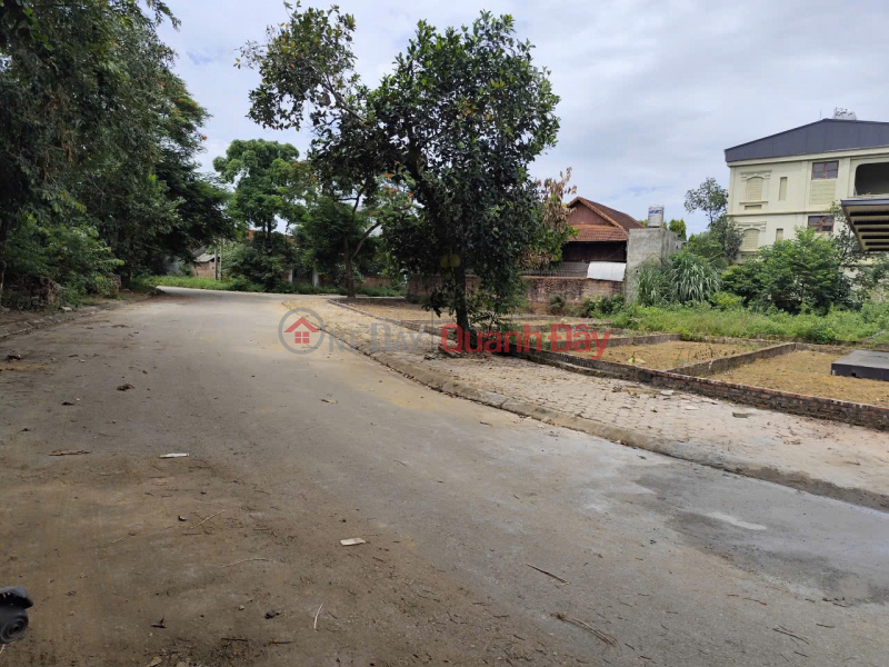 Chính chủ cần tiền bán nhanh đất tái định cư Phú Cát, Hòa Lạc - Vị trí đẹp - Phù hợp an cư hoặc đầu tư Việt Nam Bán đ 11 tỷ