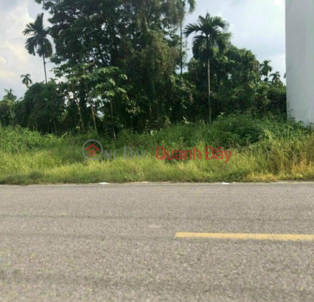 Property Search Vietnam | OneDay | , Sales Listings | Land for sale on D6 street frontage, VSIP residential area, An Phu, Thuan An city, Binh Duong