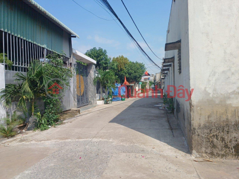 OWNER Needs to Sell Land in Nice Location at Vuon Dua Hamlet, Phuoc Tan Ward, Bien Hoa City, Dong Nai _0