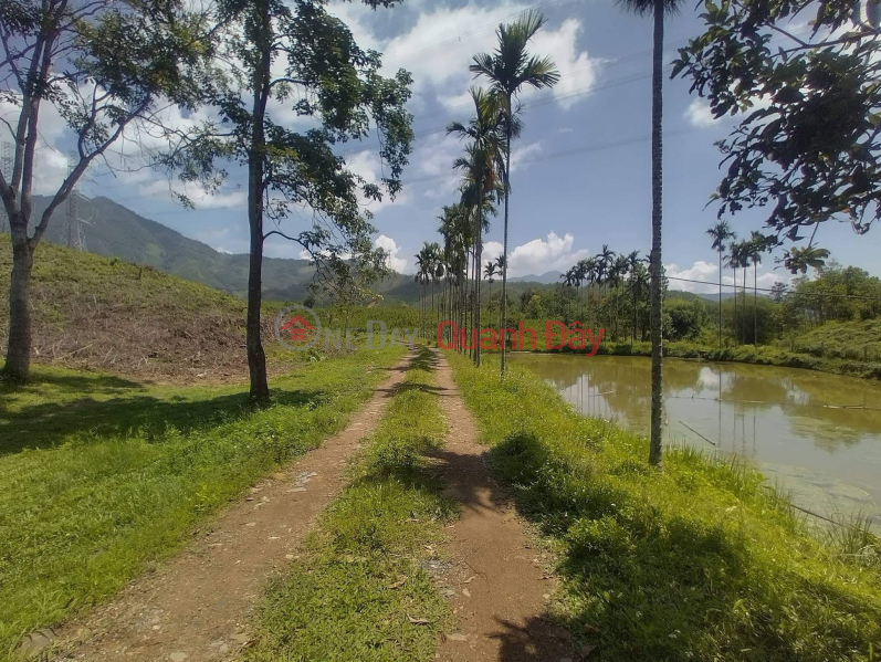 Property Search Vietnam | OneDay | Residential Sales Listings | SELLING 100 HA WITH RED BOOK IN DA NANG HOA VANG DISTRICT NEAR BA NA HILL 130 BILLION