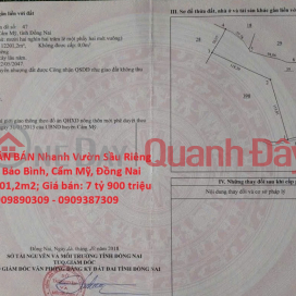 CHÍNH CHỦ CẦN BÁN Nhanh Vườn Sầu Riêng 12,201.2m2 Bảo Bình, Cẩm Mỹ, Đồng Nai _0