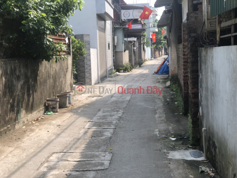 Insolvent, need to urgently sell plot of land 47.1m2, Cho Sa village, Co Loa, Dong Anh, Hanoi, morning bus route, price only a few billion Sales Listings