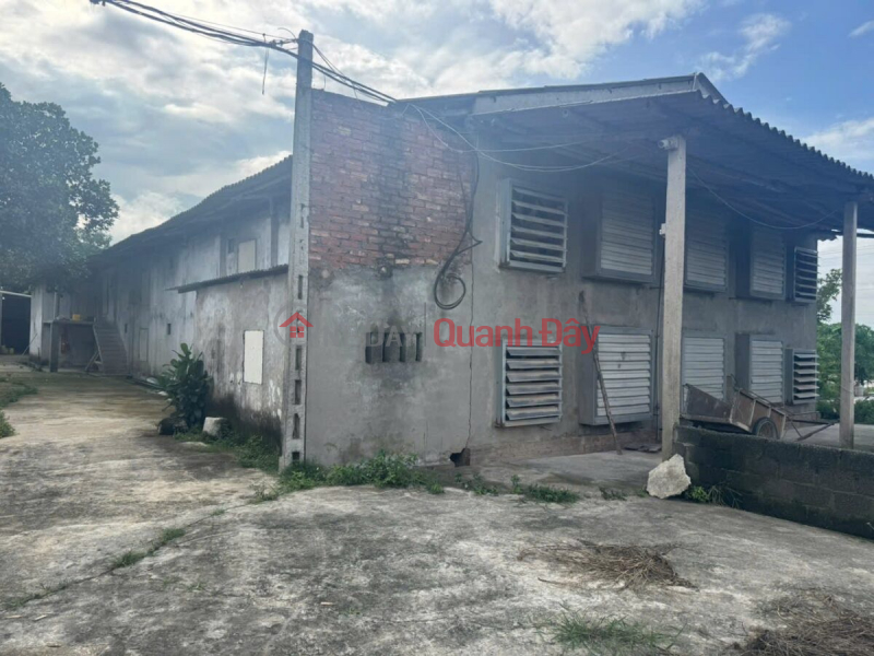 CHÍNH CHỦ BÁN TRANG TRẠI GÀ 3,430M TẠI ĐÔNG SƠN-CHƯƠNG MỸ-HÀ NỘI Việt Nam | Bán đ 10 triệu