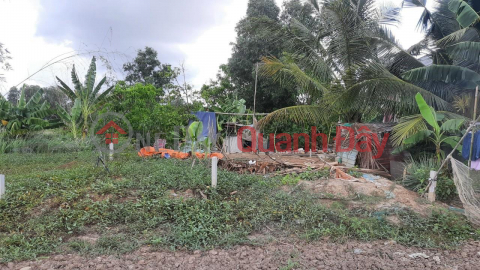 BEAUTIFUL LAND - GOOD PRICE - OWNERS Need to Sell Beautiful Land Plot Urgently Location in Binh Chanh District _0