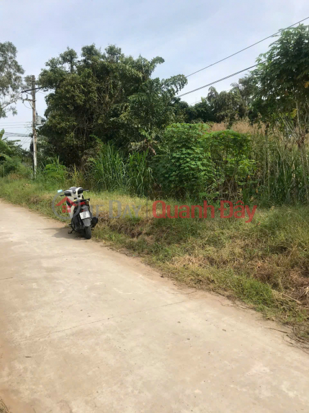 đ 1 Billion, BEAUTIFUL LAND - GOOD PRICE - Need to sell quickly a plot of land in Can Duoc Hamlet - Thanh Phu - My Xuyen - Soc Trang
