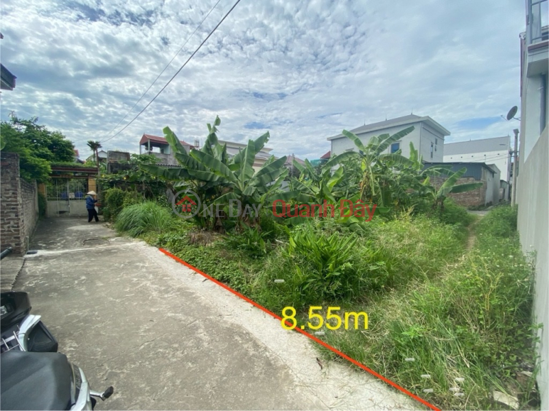 Property Search Vietnam | OneDay | Nhà ở | Niêm yết bán | Bán đất Bến Trung Bắc Hồng, 154m x 8,5m, 2 thoáng, chia 3 lô, oto 7 chỗ giá chỉ 5,x tỷ TL. LH: 0936123469