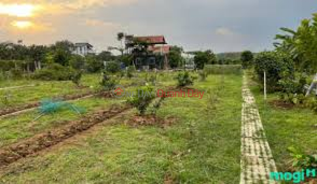 Urgent sale of land lot at Duong Ky Hiep street, Ward 2, Soc Trang City, Soc Trang Province | Vietnam Sales | đ 20 Billion