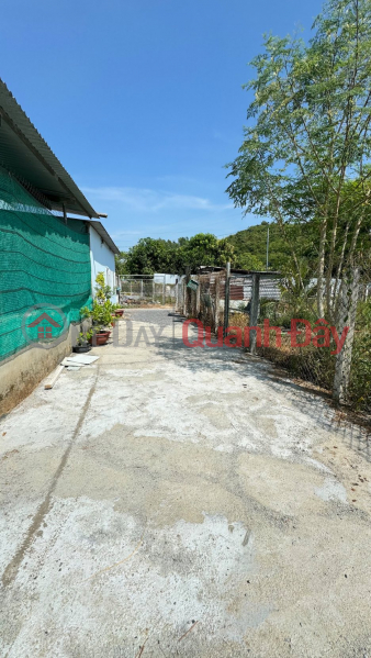 đ 820 triệu Bán lô đường tổ 4 diên lạc đường ô tô giá chỉ 820tr (tl)