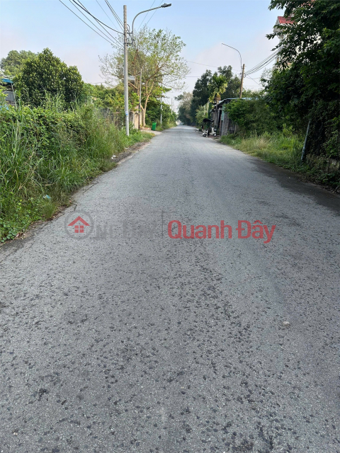 Owner Needs To Rent Vacant Land In Dinh Hoa Ward, Thu Dau Mot City, Binh Duong. _0