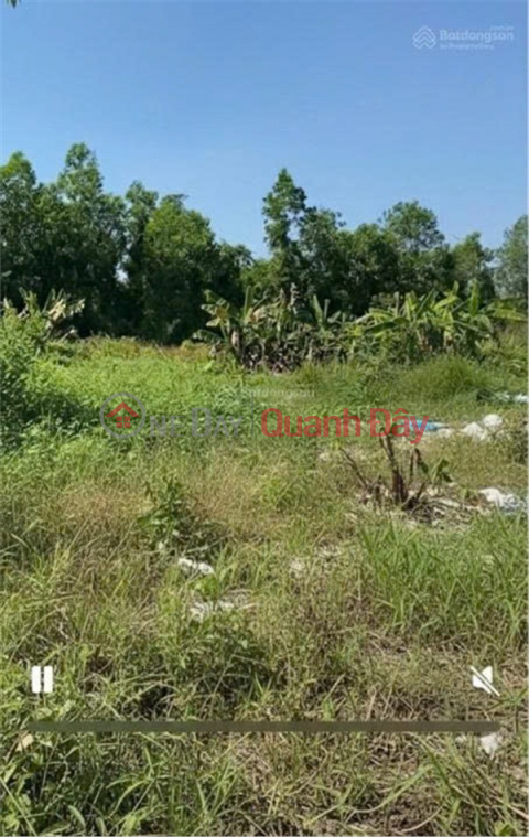 Agricultural land for rent for farming and livestock breeding in Pham Van Hai Commune, Binh Chanh District, Ho Chi Minh City. _0