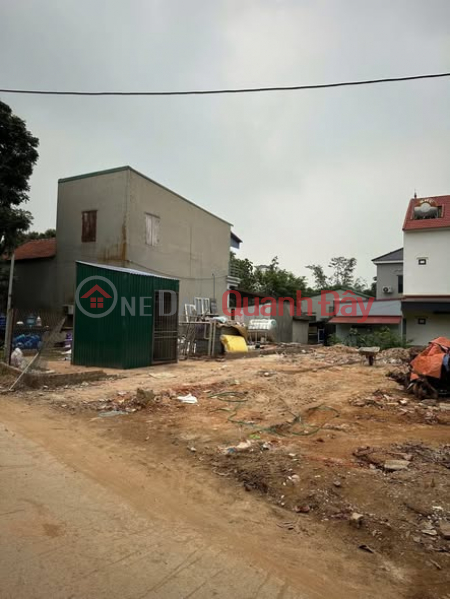 Land for sale in Yen My residential area – Xuan Hoa Ward – Near Hanoi Pedagogical University 2 – 92m² Sales Listings