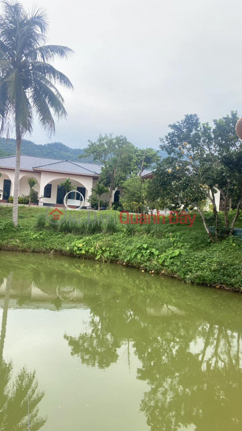 Land for sale with Garden House in Ngoc Thanh, Phuc Yen, Vinh Phuc _0