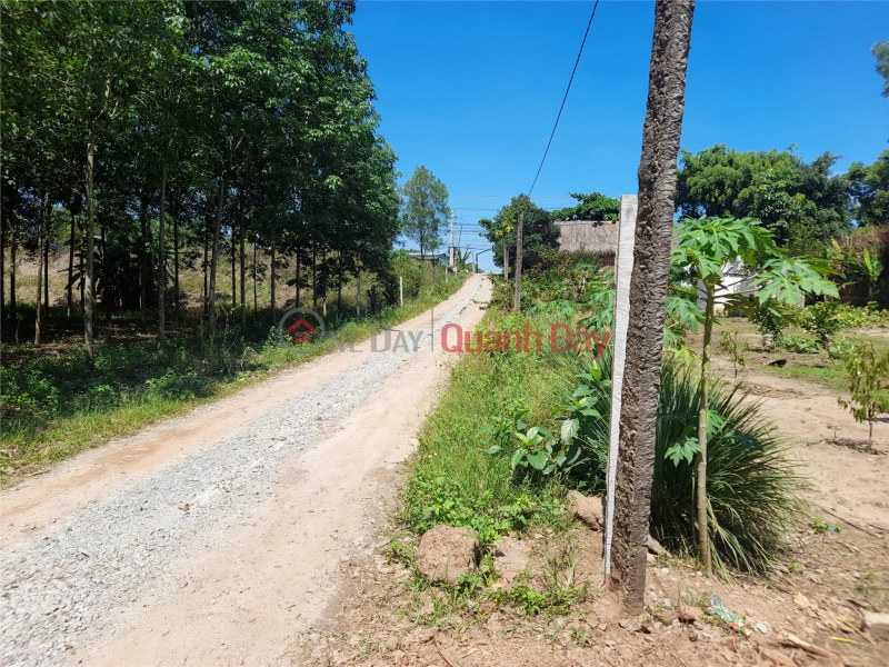 Property Search Vietnam | OneDay | Nhà ở, Niêm yết bán, Bán lô đất 2 mặt tiền tại đường Vĩnh Hòa 70, Phú Giáo