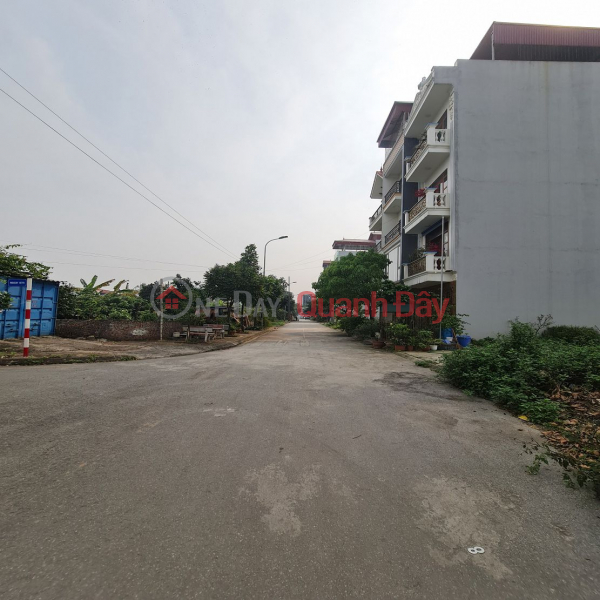 Land in Trau Quy, Gia Lam, Hanoi. 61m2, frontage 4m, road 15m, business. Sales Listings