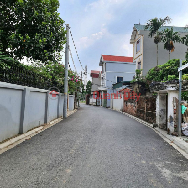 Property Search Vietnam | OneDay | Residential Sales Listings 202m2 land in Gia Lam, Hanoi. Car road, connecting 2 large axes. Beautiful shape, investment price. Contact 0989894845