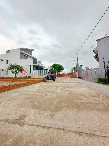 Main plot of land in Dien Tien commune for sale near Le Trach market, Vietnam Sales, ₫ 620 Million