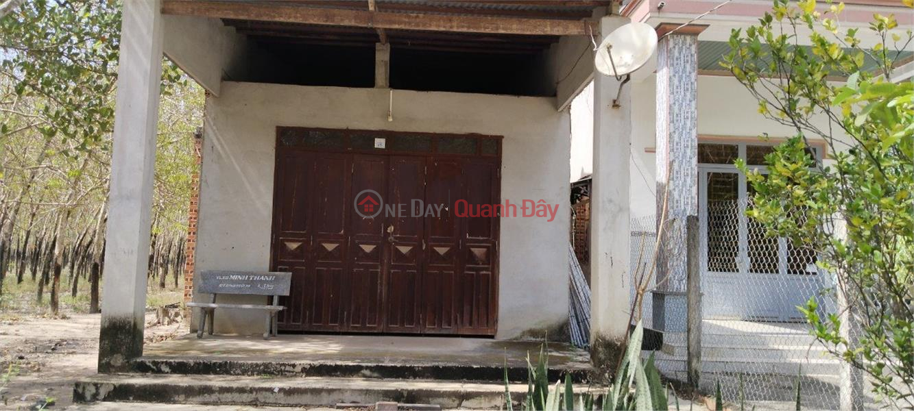 Property Search Vietnam | OneDay | Residential | Sales Listings PRIME LAND - GOOD PRICE - For Quick Sale In Tan Dong Commune, Tan Chau, Tay Ninh