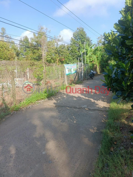 đ 1.8 Billion, BEAUTIFUL LAND - FRONTAGE - Owner Needs to Sell Garden Land in Beautiful Location in Long Tien Commune, Cai Lay, Tien Giang