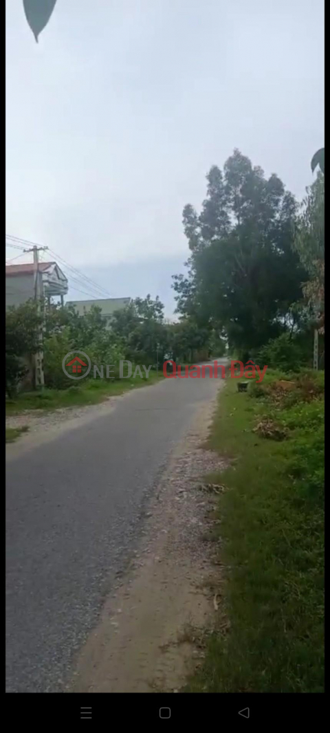 Plot For Sale Land Lot Great Location In Xuan Loc Commune, Hau Loc District, Thanh Hoa Province _0