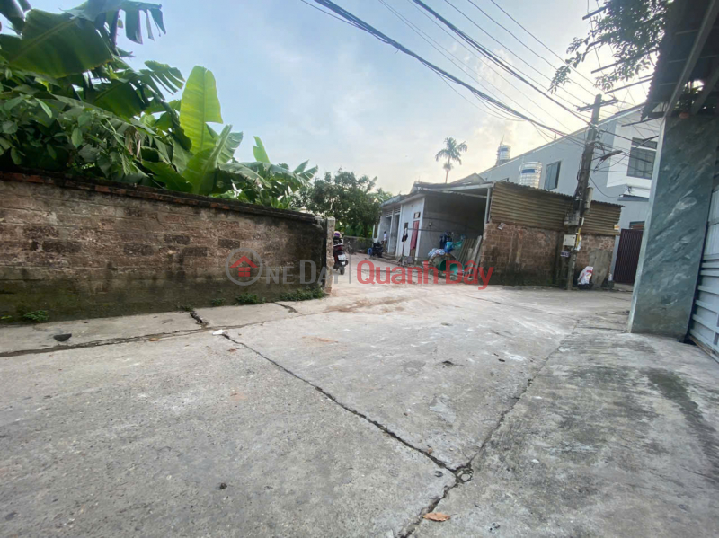 Beautiful land lot for sale 80m2 in Nam Vong Ngoai village, Vong Xuyen commune, Phuc Tho | Vietnam | Sales đ 2.96 Billion