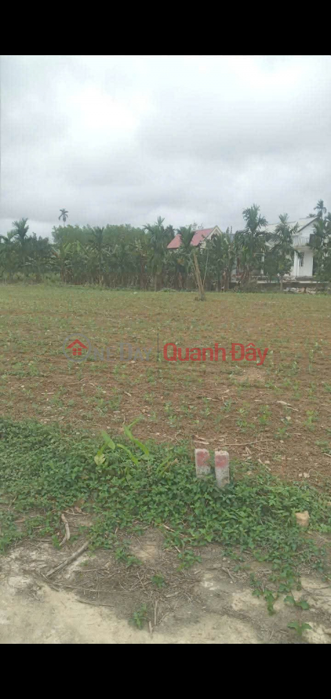 ĐẤT ĐẸP - GIÁ TỐT - Chính Chủ Cần Cần Bán Nhanh Lô Đất Tại Phường Phong Điền, Tp Huế _0