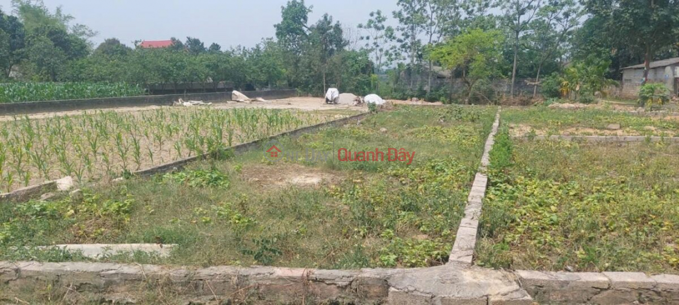 | Làm ơn chọn Nhà ở Niêm yết bán | đ 10 triệu