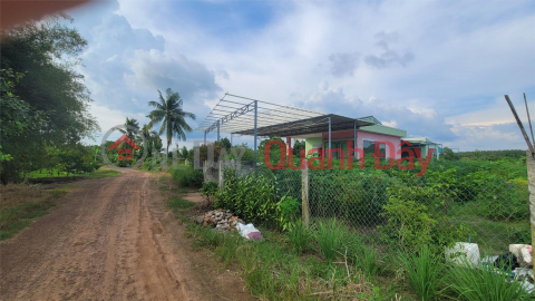 PRIMARY LAND - FRONT FACE - Beautiful Location In Tan Trung B Hamlet, Tan Hung Commune, Tan Chau, Tay Ninh _0