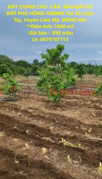 OWNER'S LAND - URGENTLY NEED TO SELL PHU HONG LAND LOT OF 1000M2 IN Xuan Tay Commune, Cam My District, DONG NAI Sales Listings