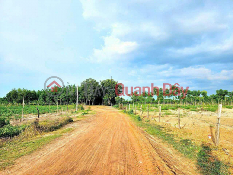 BEAUTIFUL LAND - GOOD PRICE - OWNER Need to Sell Quickly Land Lot in Thanh An Commune, Hon Quan District, Binh Phuoc _0